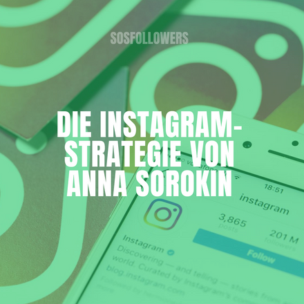 Anna Sorokin Instagram