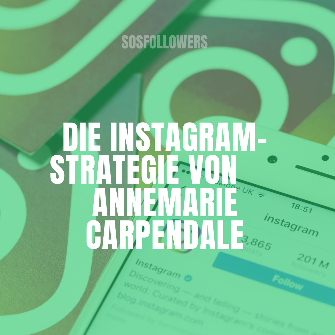 Annemarie Carpendale Instagram
