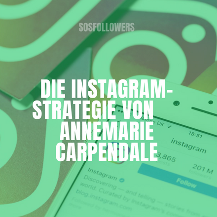 Annemarie Carpendale Instagram